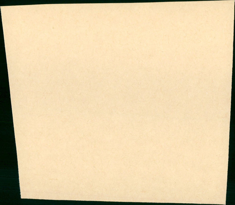 Klein Haie - Vintage Photograph