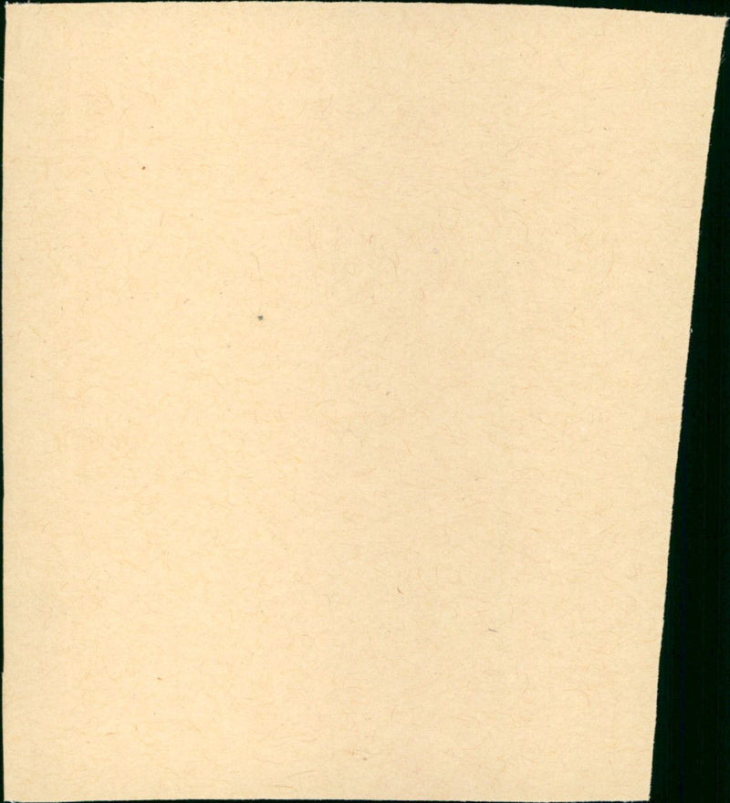 De kleine zeemeermin - Vintage Photograph