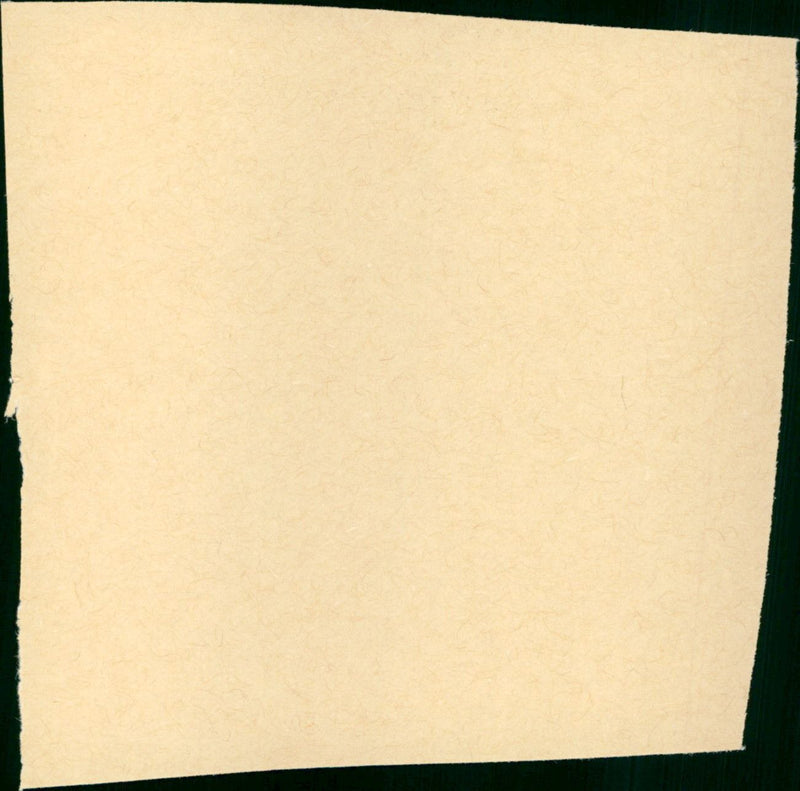 The Wrong Woman - Vintage Photograph