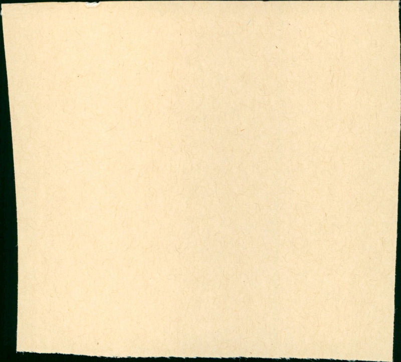 Youngblood - Vintage Photograph