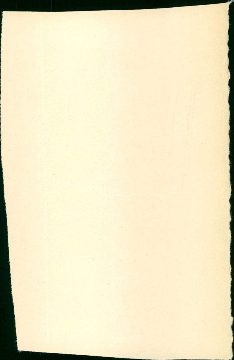 Het witte kasteel - Vintage Photograph