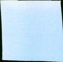 Woestijnroos - Vintage Photograph