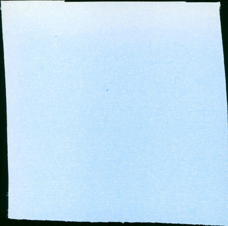 Woestijnroos - Vintage Photograph