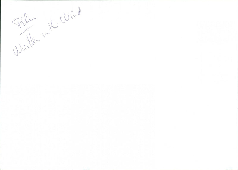 Written on the Wind - Vintage Photograph