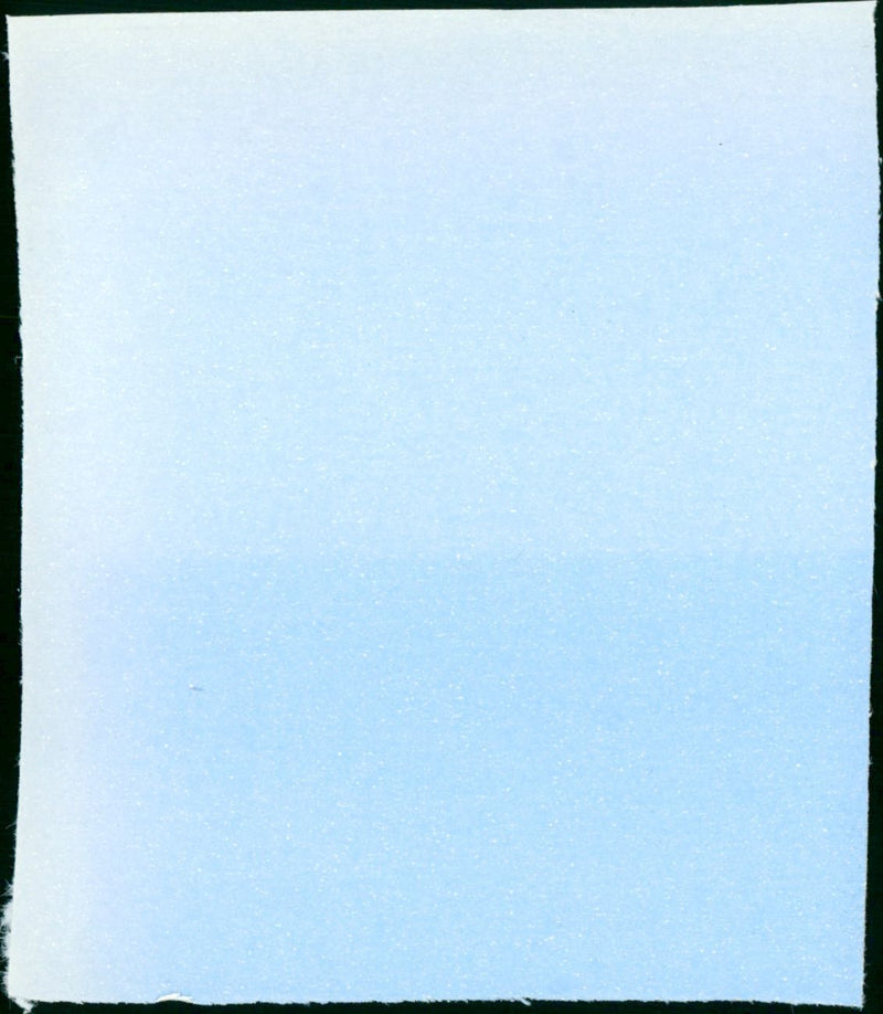 Young Tom Edison - Vintage Photograph