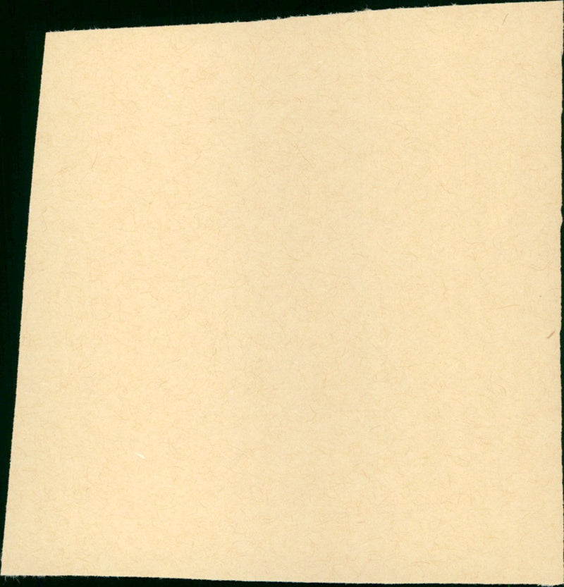 Knights of the Round Table - Vintage Photograph