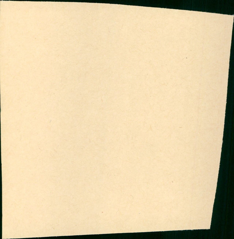 Kissin Cousins - Vintage Photograph