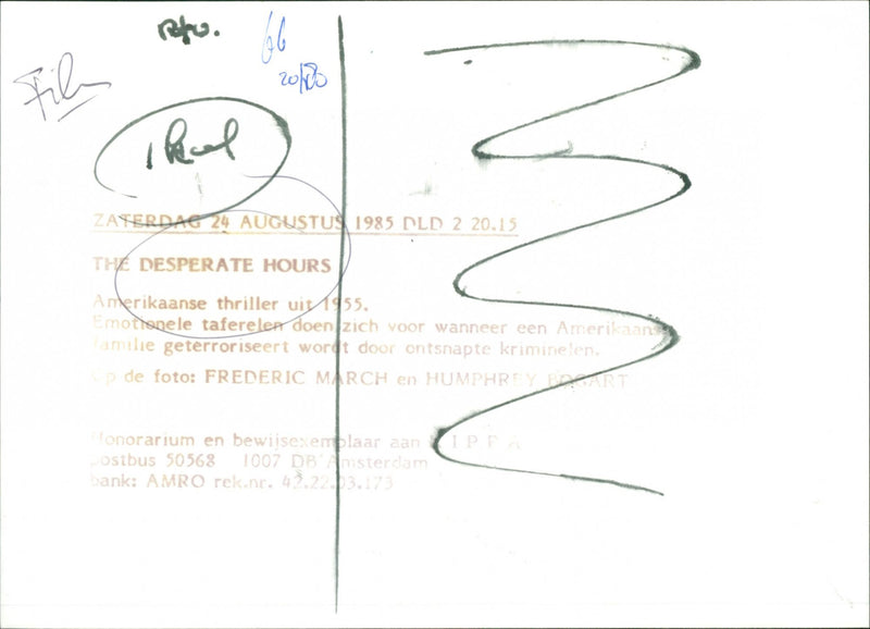 The Desperate Hours - Vintage Photograph