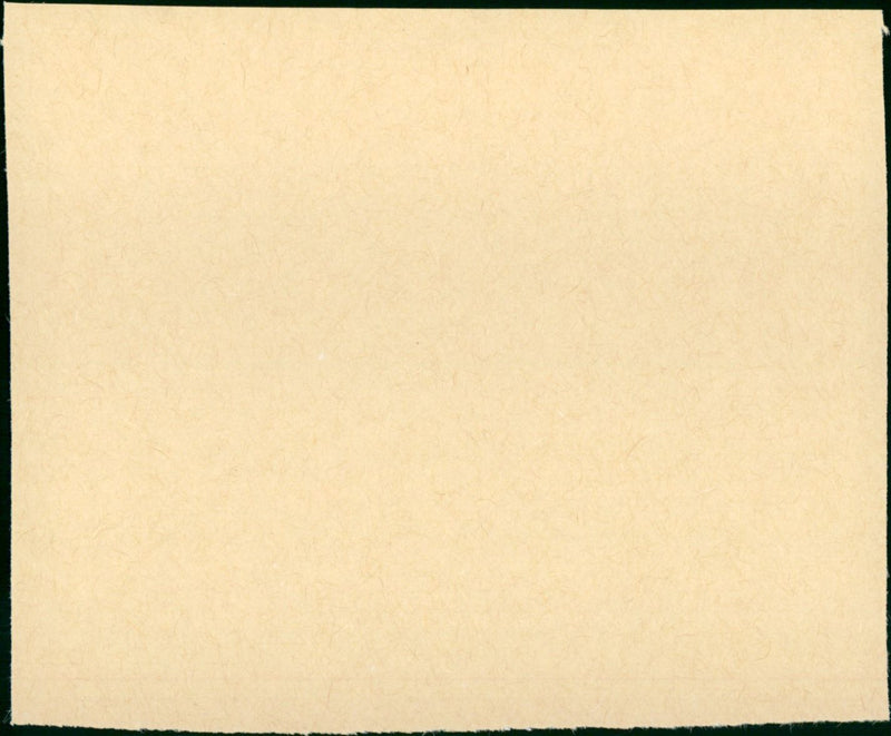 Winternachtstraum - Vintage Photograph