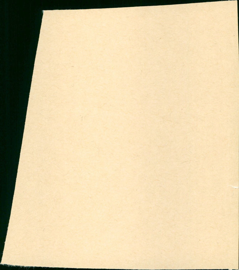 De koetsier poetst de postkoets - Vintage Photograph