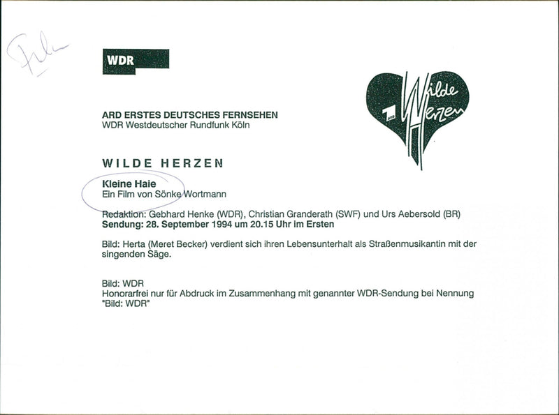 Kleine Haie - Vintage Photograph