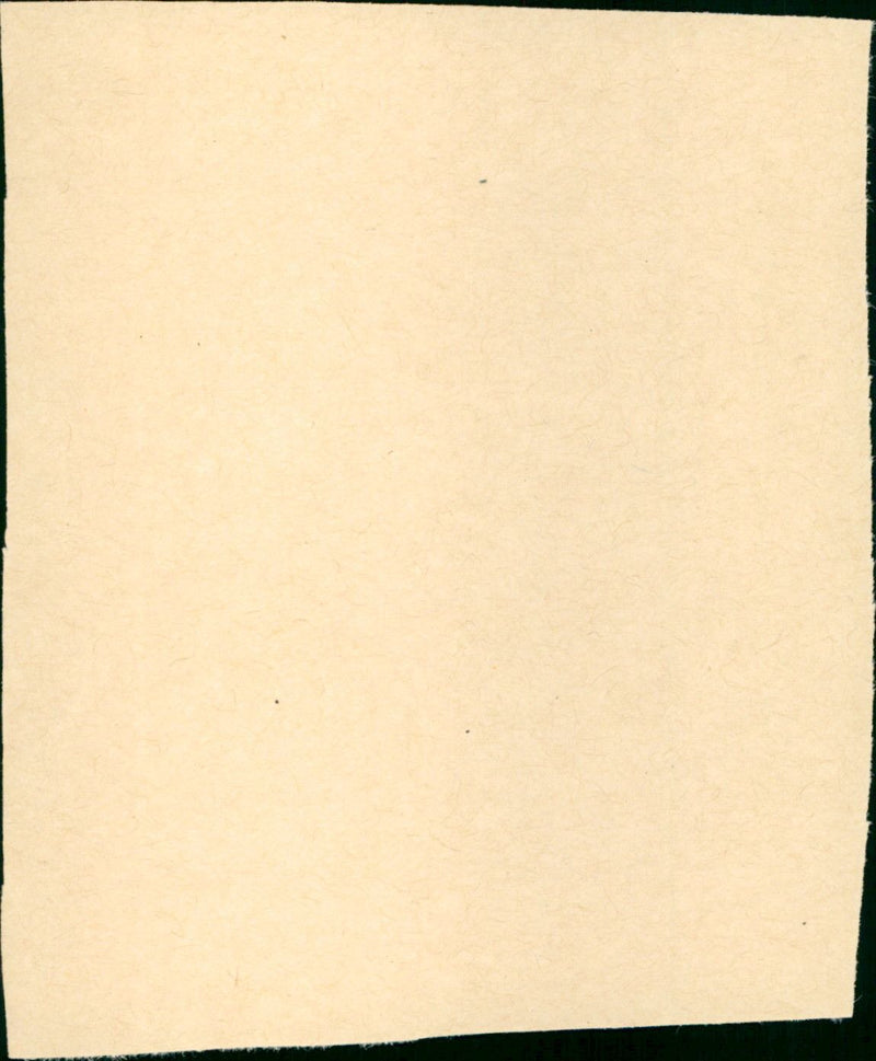 Kleiner Mann - ganz gross - Vintage Photograph