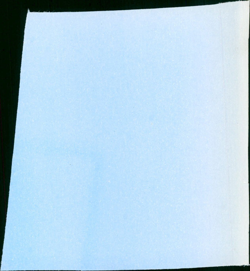 Kleine Nemo - Vintage Photograph