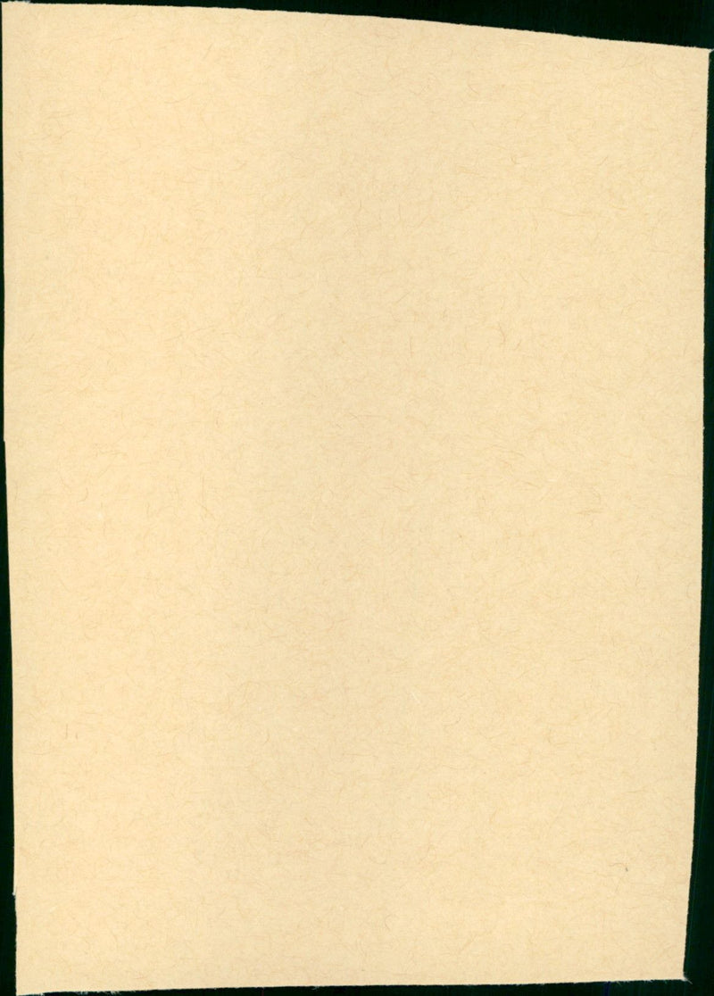 Klinik des Grauens - Vintage Photograph