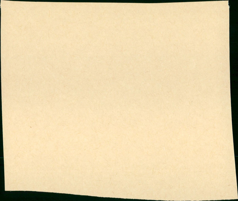 Under Investigation - Vintage Photograph