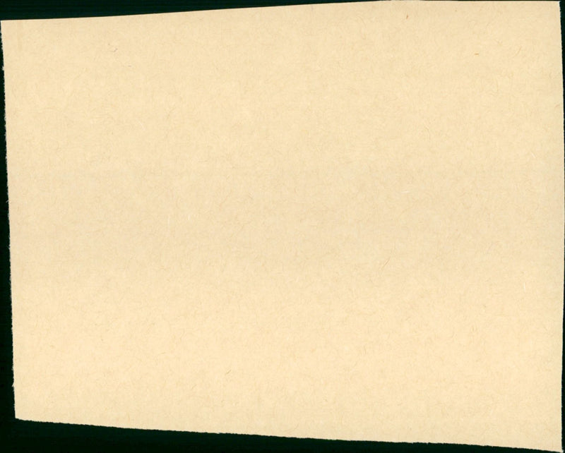 Von Richthofen and Brown - Vintage Photograph