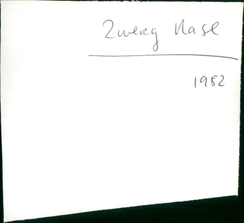Zwerg Nase - Vintage Photograph