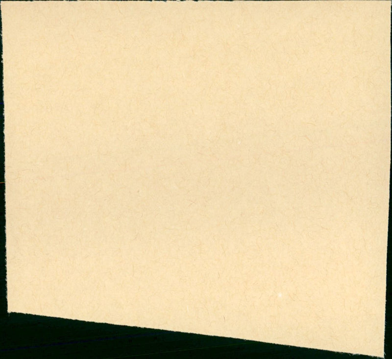 Zwerg Nase - Vintage Photograph