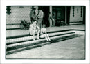 De koetsier poetst de postkoets - Vintage Photograph
