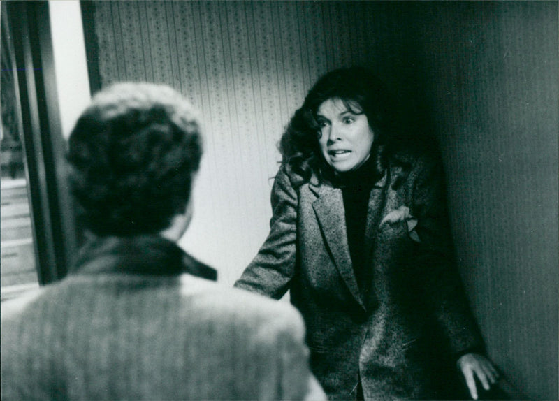 The Amityville - Vintage Photograph