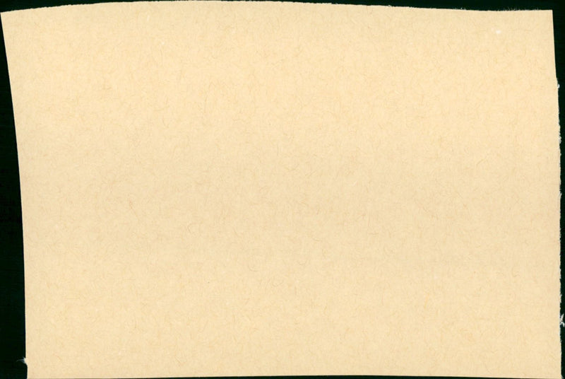 Une Vie - Vintage Photograph