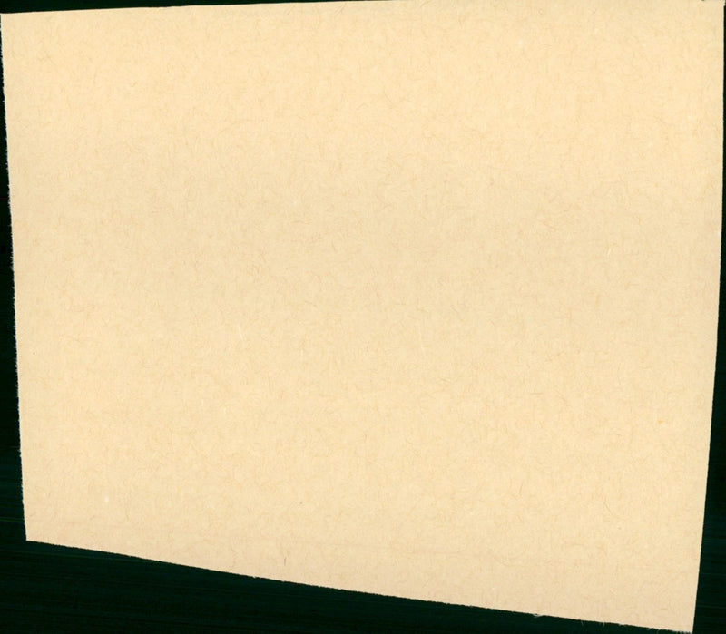 De ijssalon - Vintage Photograph