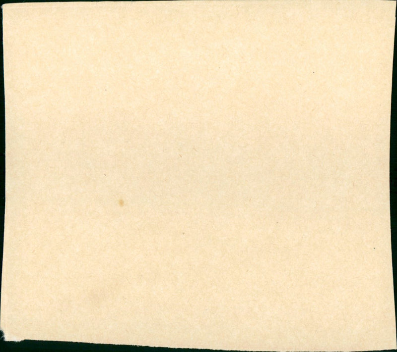 Wait Until Dark - Vintage Photograph