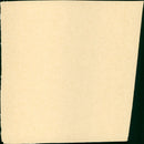 Amityville 3-D - Vintage Photograph