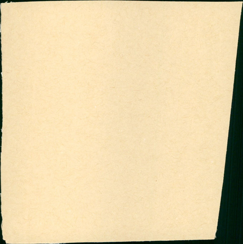 Amityville 3-D - Vintage Photograph