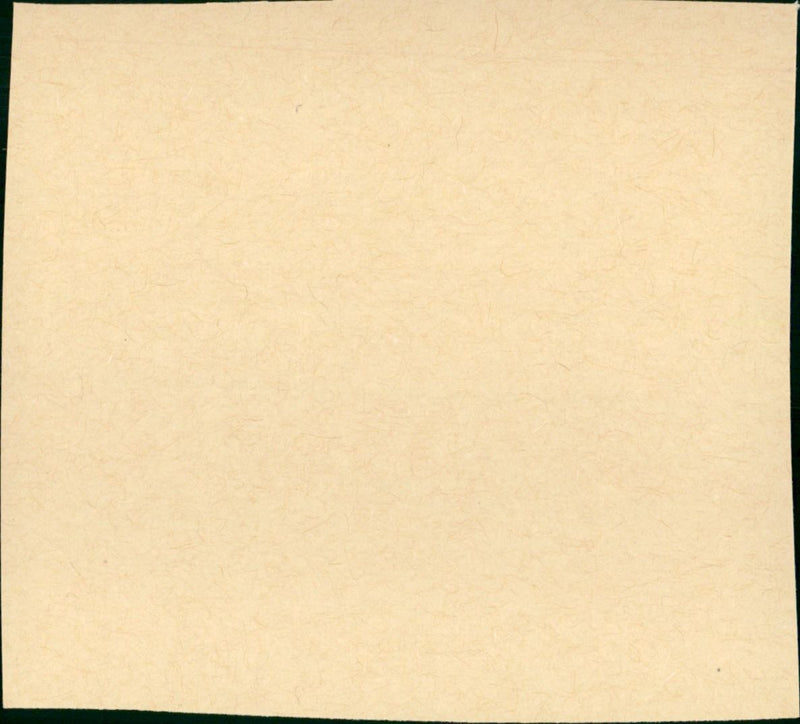 Waanzinnige Truken - Vintage Photograph