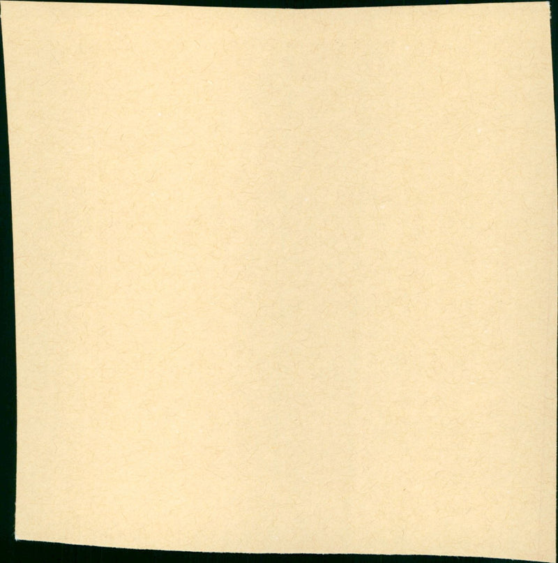 Ana y los lobos - Vintage Photograph