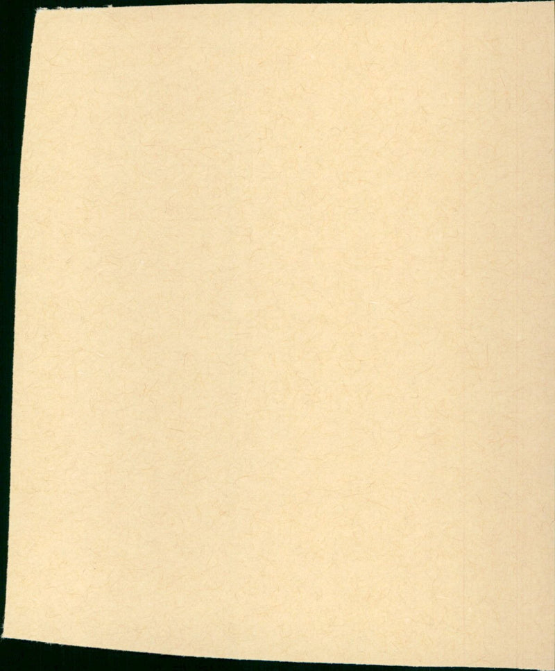 Der König vom Mont-Blanc - Vintage Photograph