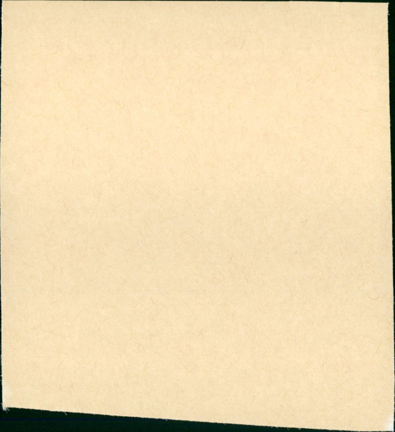 Le dernier saut - Vintage Photograph