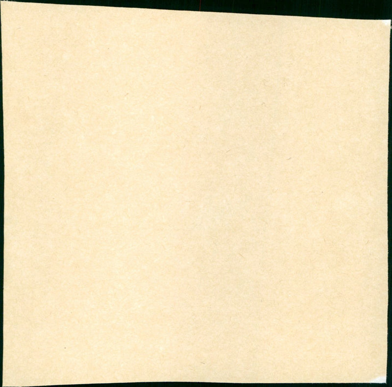 Endangered Species - Vintage Photograph