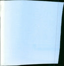 King of the Grizzlies - Vintage Photograph