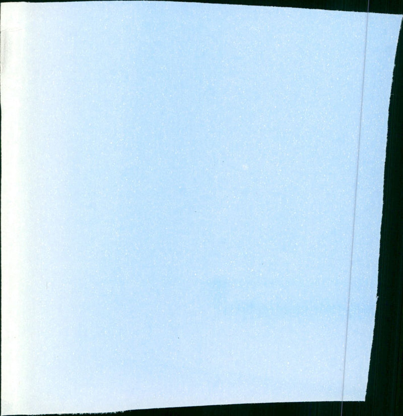 King of the Grizzlies - Vintage Photograph