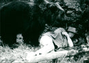 König der Grizzlies - Vintage Photograph