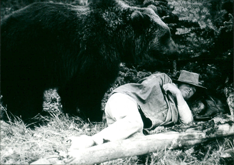 König der Grizzlies - Vintage Photograph