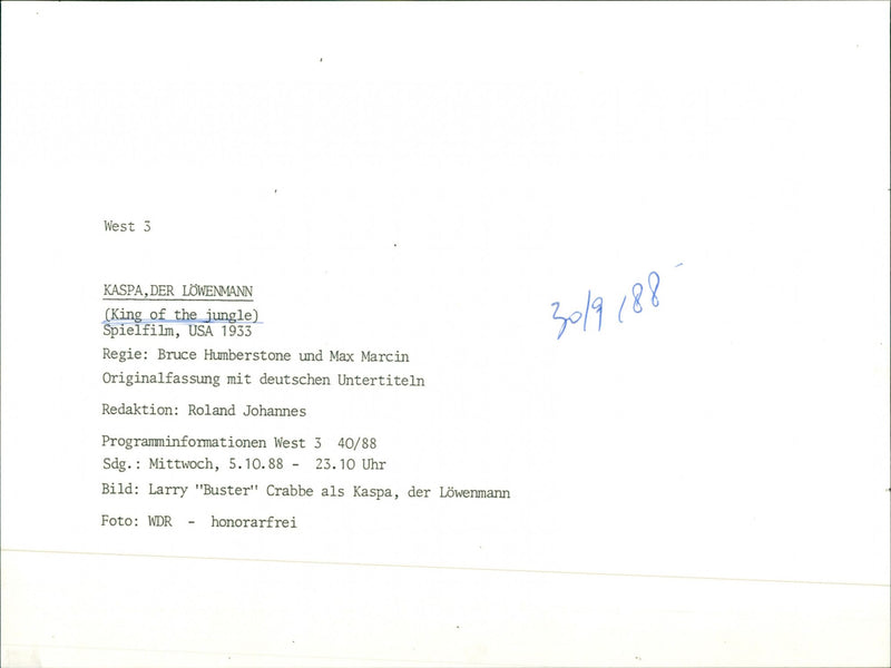 King of the Jungle - Vintage Photograph