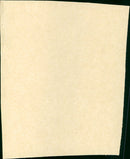 King of the Jungle - Vintage Photograph