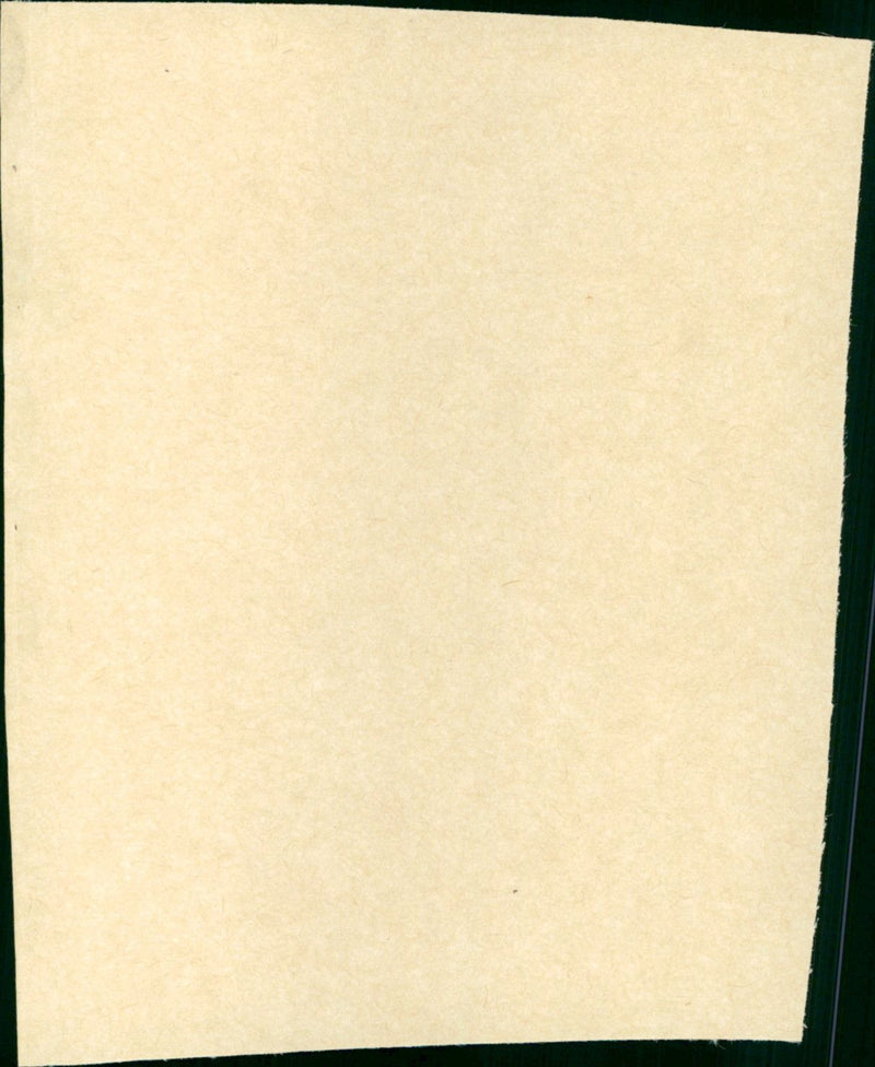 King of the Jungle - Vintage Photograph