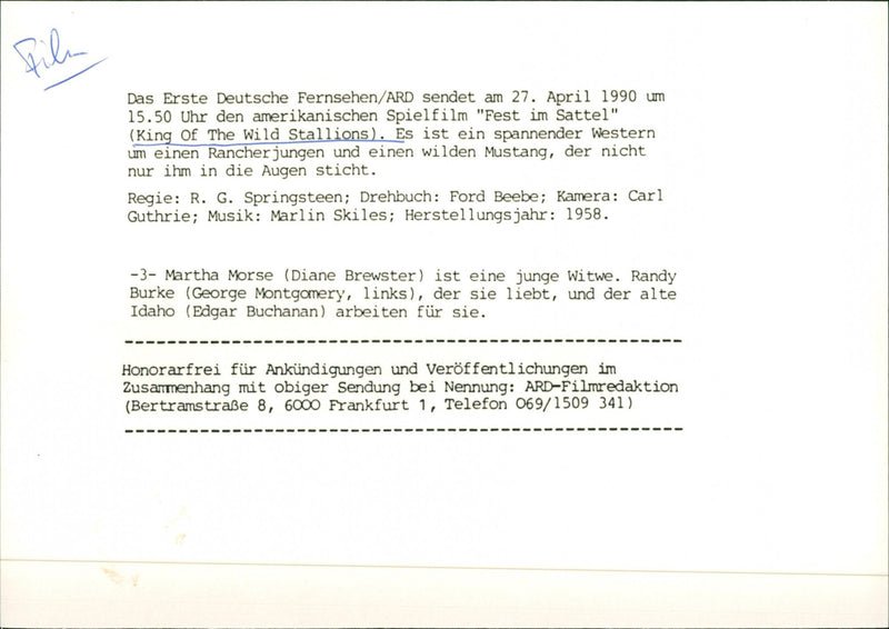 King of the Wild Stallions - Vintage Photograph