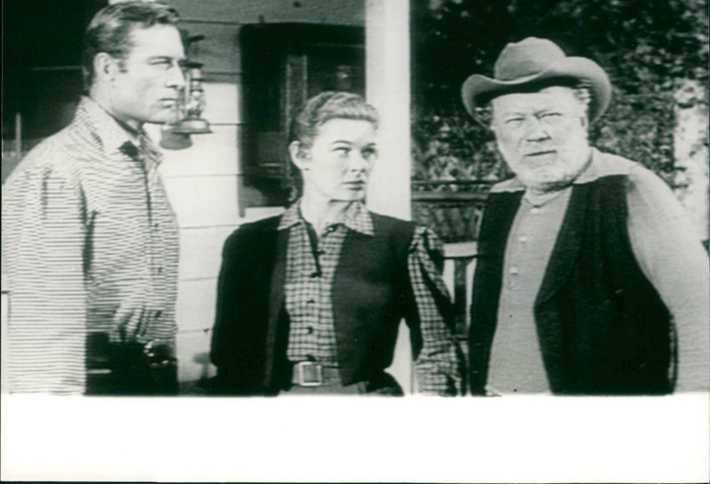 King of the Wild Stallions - Vintage Photograph