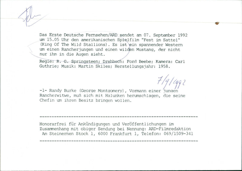 King of the Wild Stallions - Vintage Photograph