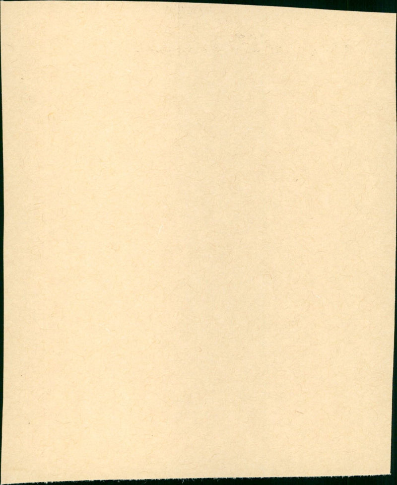 Engel im Abendkleid - Vintage Photograph