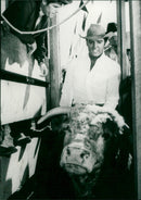 Stay Away, Joe - Vintage Photograph