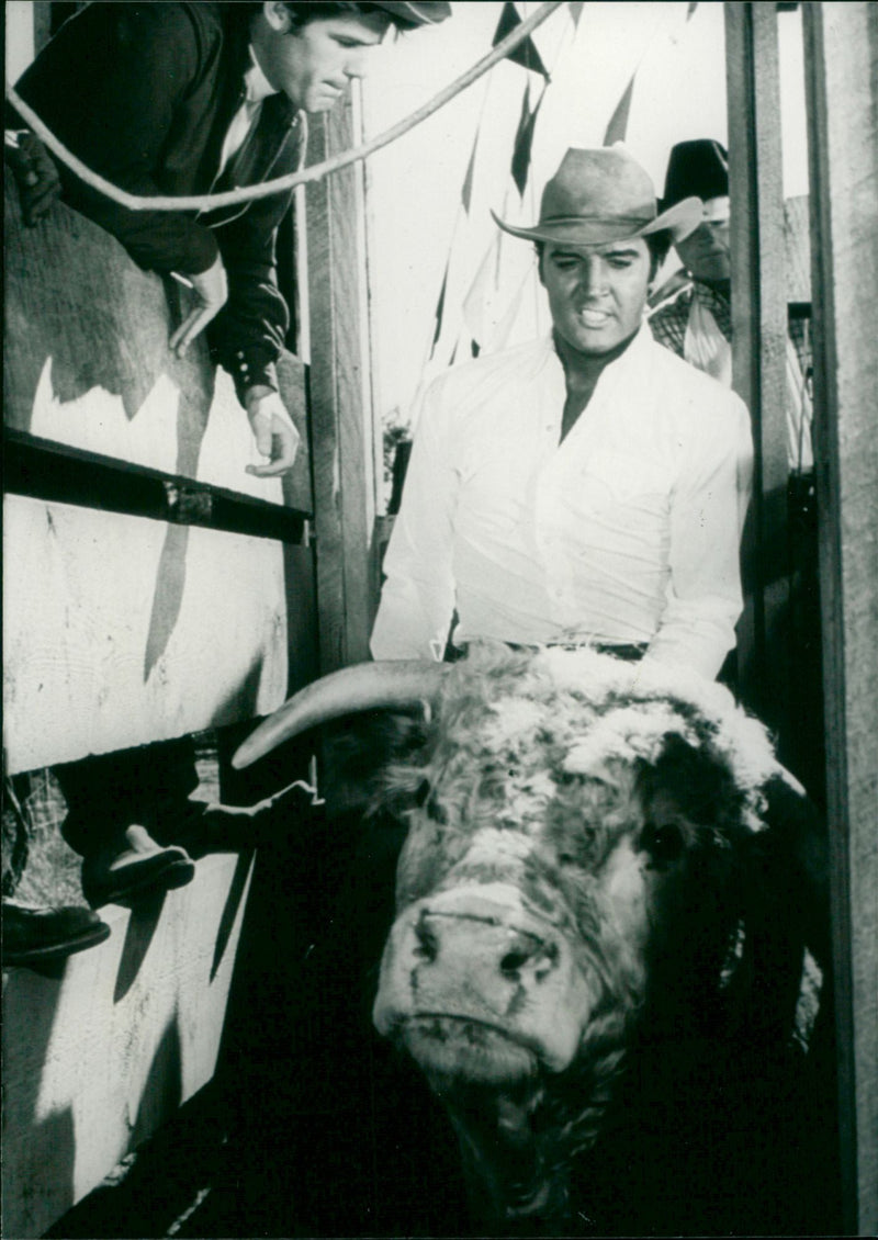 Stay Away, Joe - Vintage Photograph