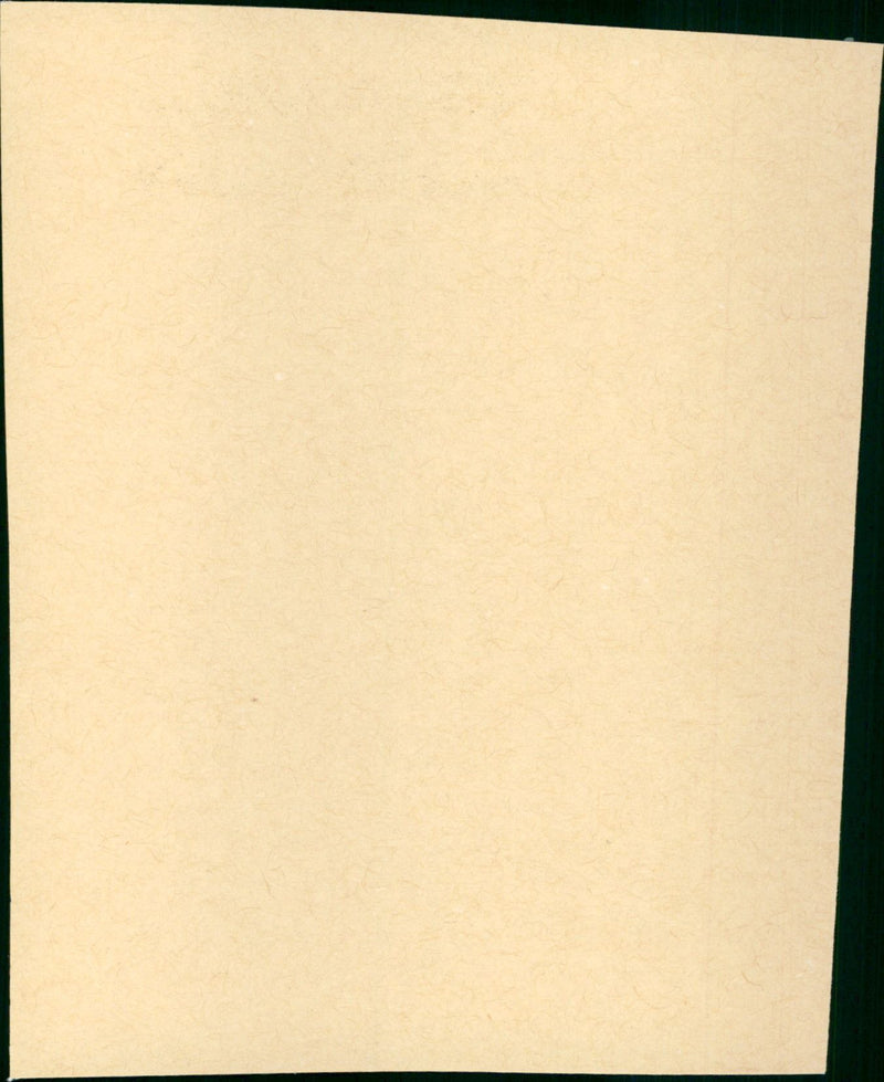 The English Patient - Vintage Photograph