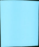 The Englishman's Wife - Vintage Photograph