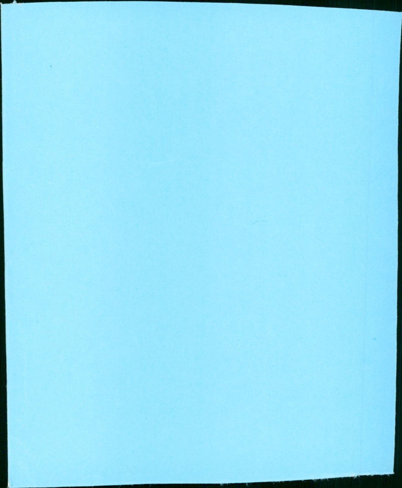 The Englishman's Wife - Vintage Photograph